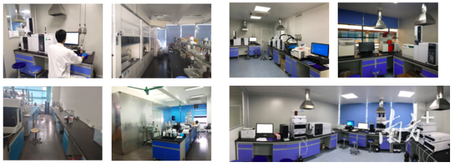 8xbet网环境健康与污染控制研究院团队实验室。受访者供图