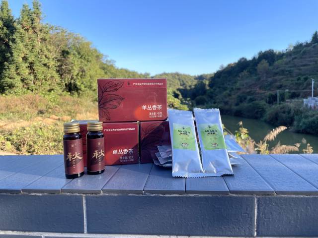 “广工一号”系列产品。 “广工一号”系列产品。