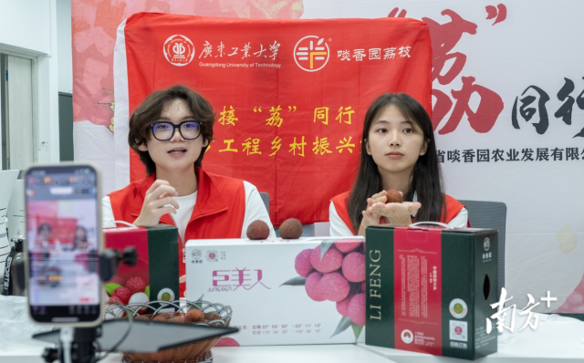 南方+ 林捷勇 拍摄 南方+ 林捷勇 拍摄