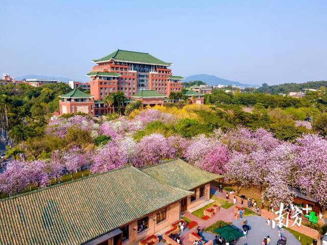 华南农业大学。 华南农业大学。